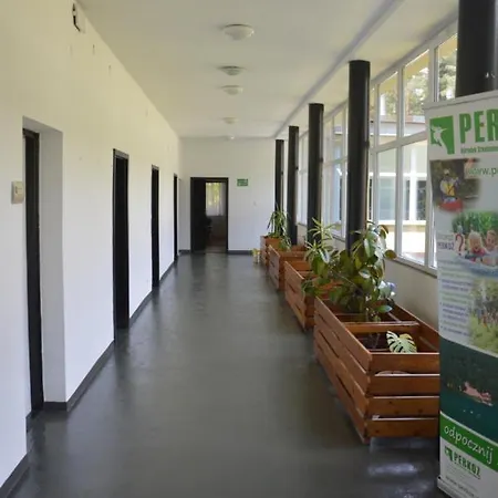 Camp Perkoz Olsztynek