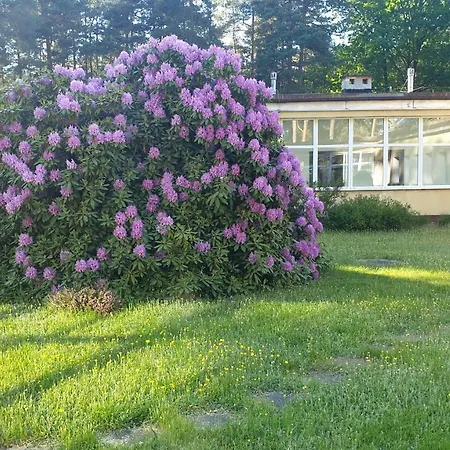 Holiday park Camp Perkoz Olsztynek